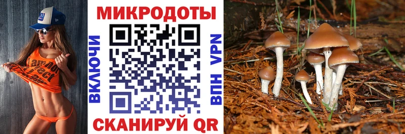 omg ТОР  Одинцово  Псилоцибиновые грибы ЛСД 